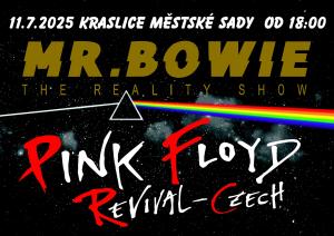 PINK FLOYD REVIVAL CZECH 1
